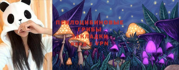 прущая мука Богородицк